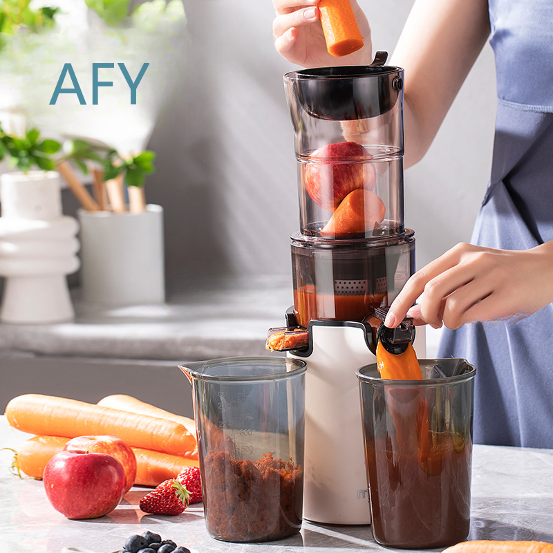 Extracteur de jus électrique 2 - Electric Slow Juicer Cold Press avis et prix